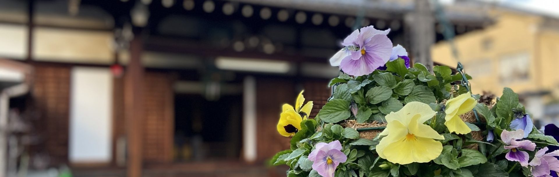 お寺deマルシェ